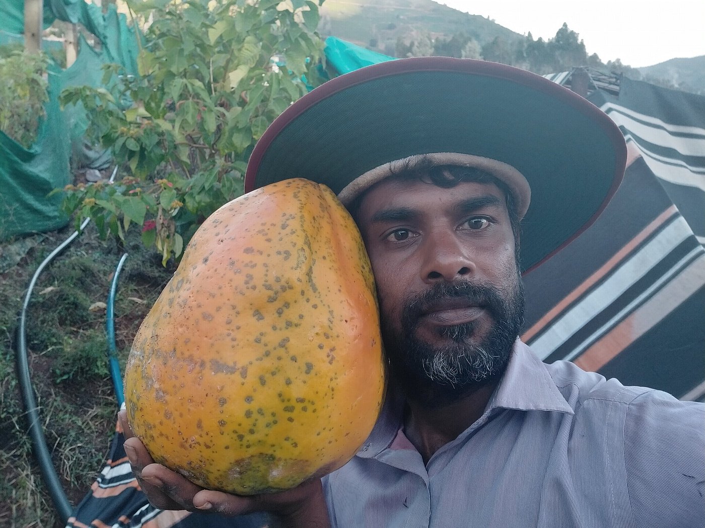 Chandrasekar in the farm