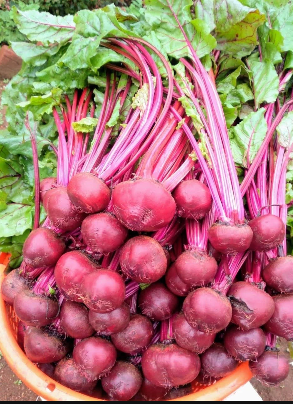 Fresh Beetroot